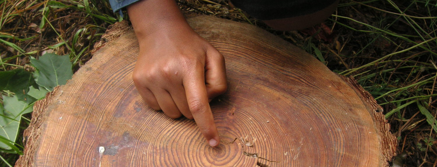 Balade botanique