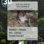 Sortie Sur les traces des animaux