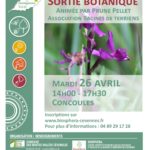 Sortie botanique