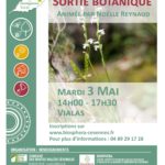 Sortie botanique