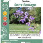 Sortie botanique à génolhac