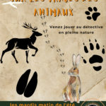 Sur les traces des animaux