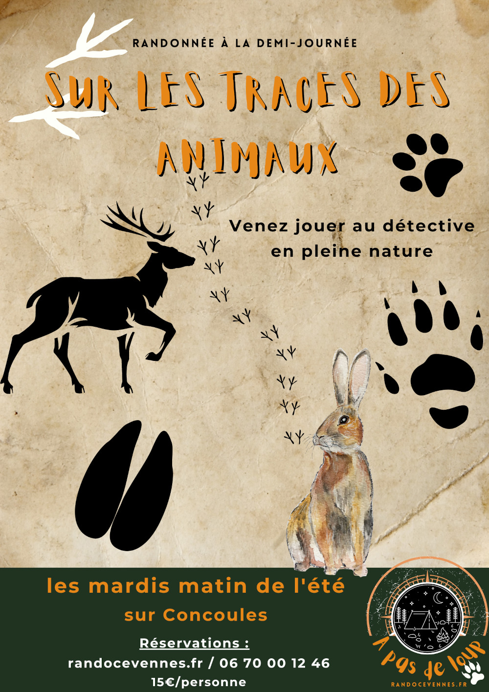 Sur les traces des animaux